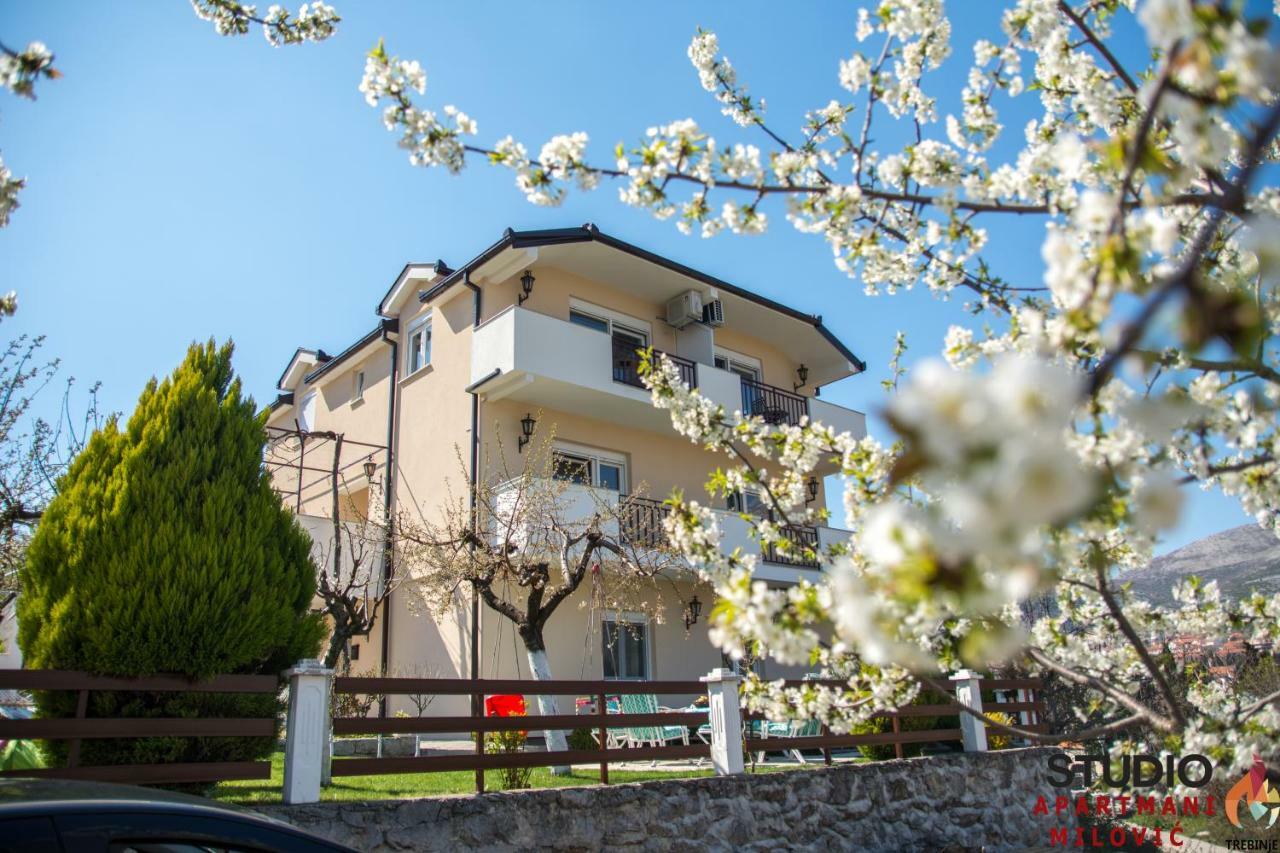 Studio Apartmani Milovic Требинье Экстерьер фото